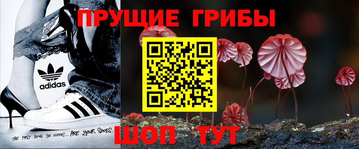 Псилоцибиновые грибы Cubensis Солнечногорск